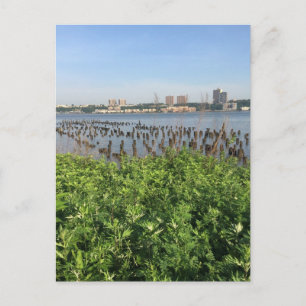 Verano en la postal de la ciudad de Nueva York del