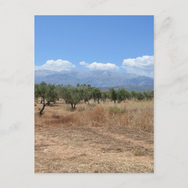 Verano en postal creativa (Anverso)