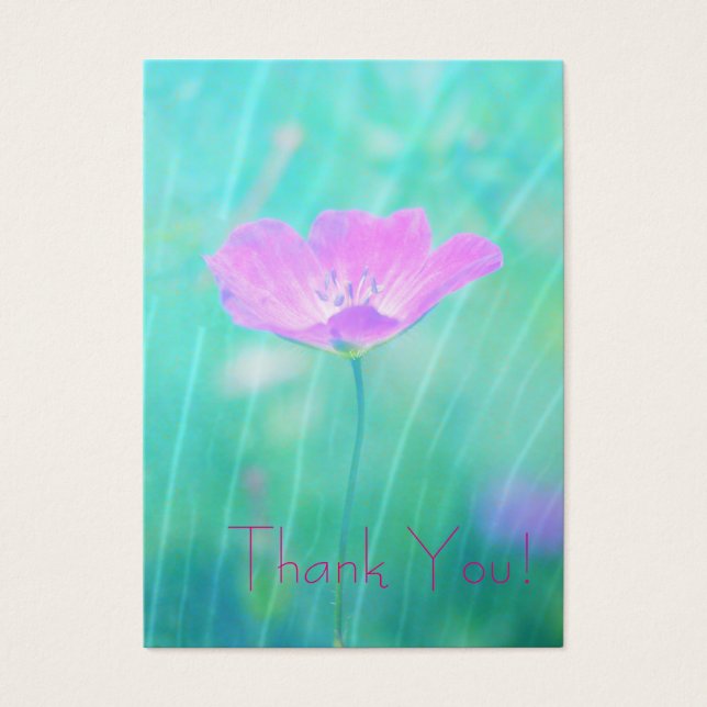 verano interminable (Frente)