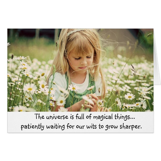 Verano mágico (Anverso (Horizontal))