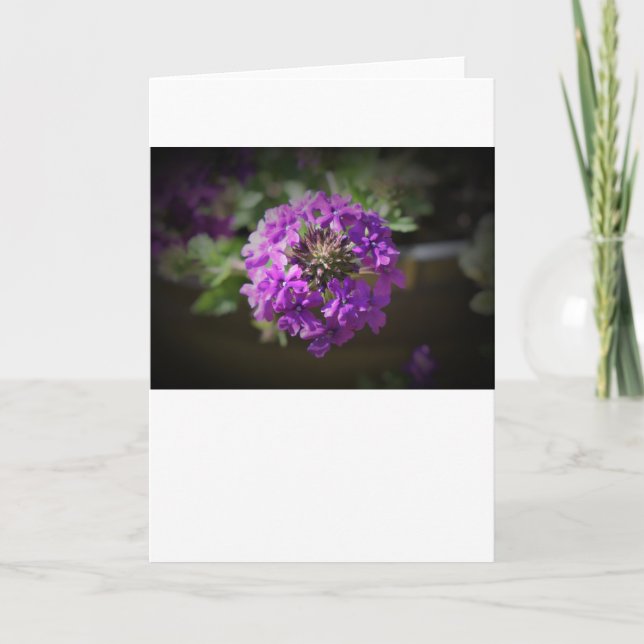 Verbena, tarjeta (Anverso)