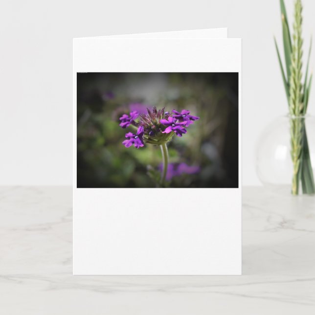 Verbena, tarjeta (Anverso)