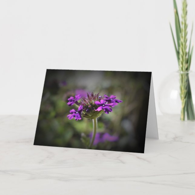 Verbena, tarjeta (Anverso)