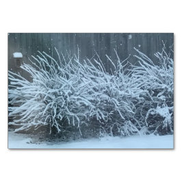 Verbos glicinas nevando, lecturas tarjetas flotant