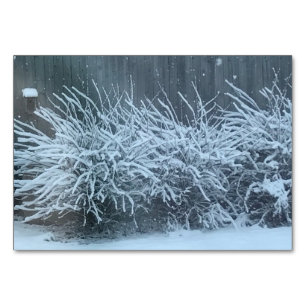 Verbos glicinas nevando, lecturas tarjetas flotant