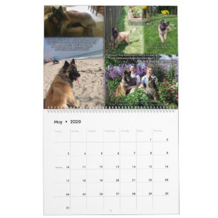 Verdadero calendario de revisión de la actuación d