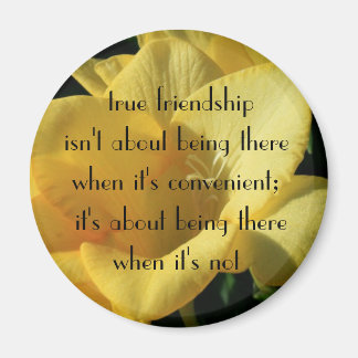 Verdadero imán de amistad