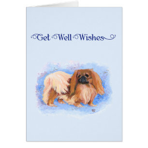 Verdadero Pekingés Azul