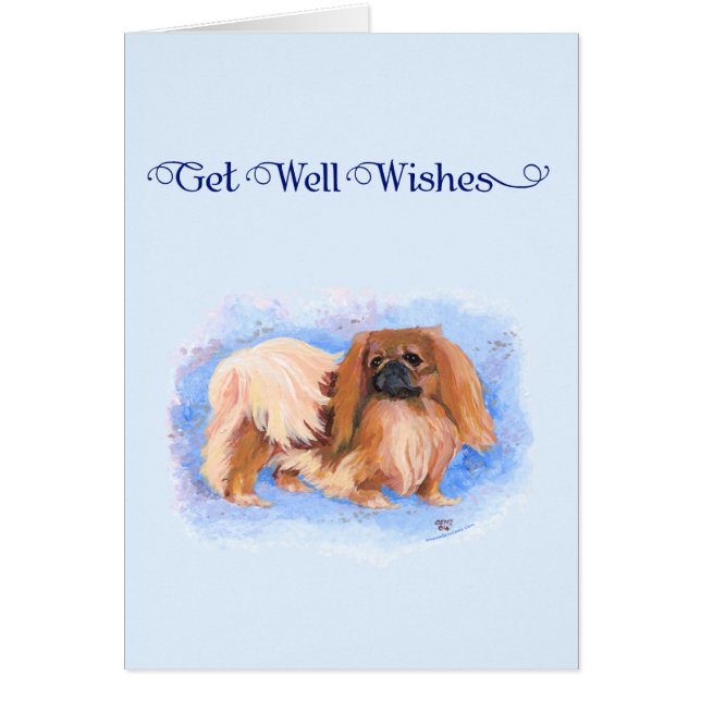 Verdadero Pekingés Azul (Frente)