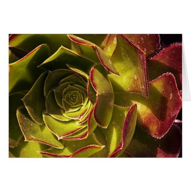 Verde (Anverso (Horizontal))