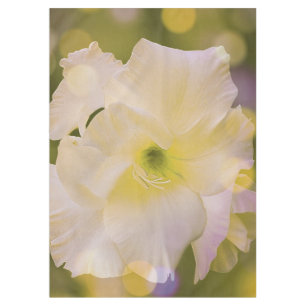 Verde Bokeh del lirio de espada del mantel