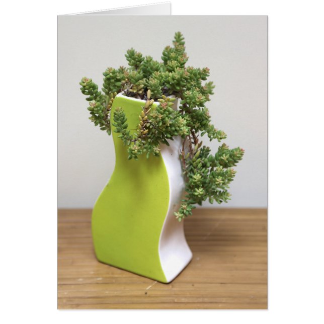 Verde con envidia por diseños exitosos (Frente)