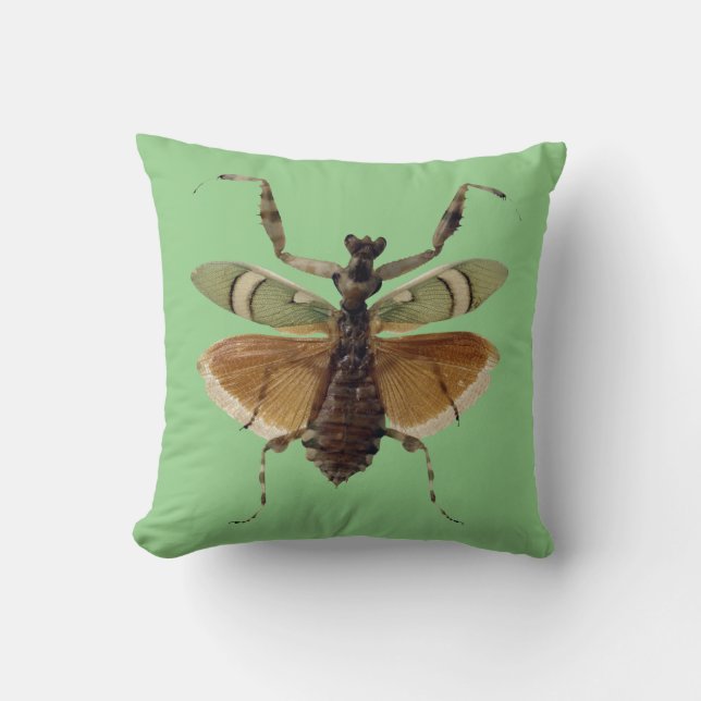 Verde de la almohada del insecto (Anverso)