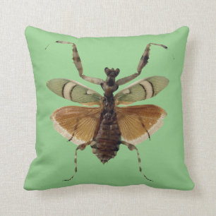 Verde de la almohada del insecto