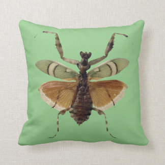 Verde de la almohada del insecto