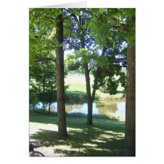 Verde del campo