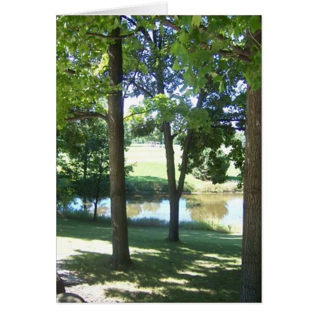 Verde del campo (Frente)