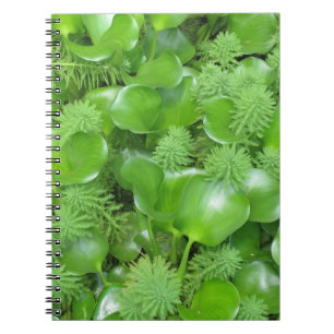 Verde en el cuaderno verde