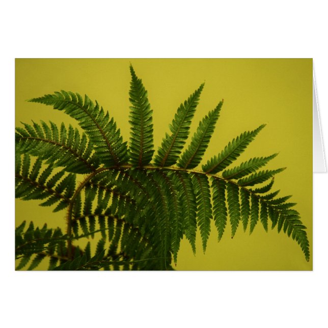 "verde" por Larry Coressel (Anverso (Horizontal))