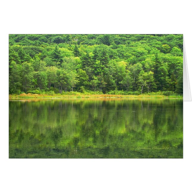 Verde: Primer color del mundo (Anverso (Horizontal))