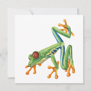 Verde Rana