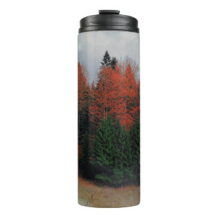 Verde rojo del vaso del bosque termal de octubre