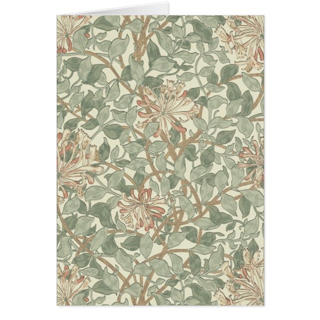 Verde Suave Vintage William Morris Honeysuckle (Frente)
