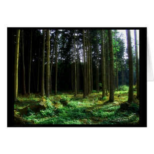 Verde (tarjeta)