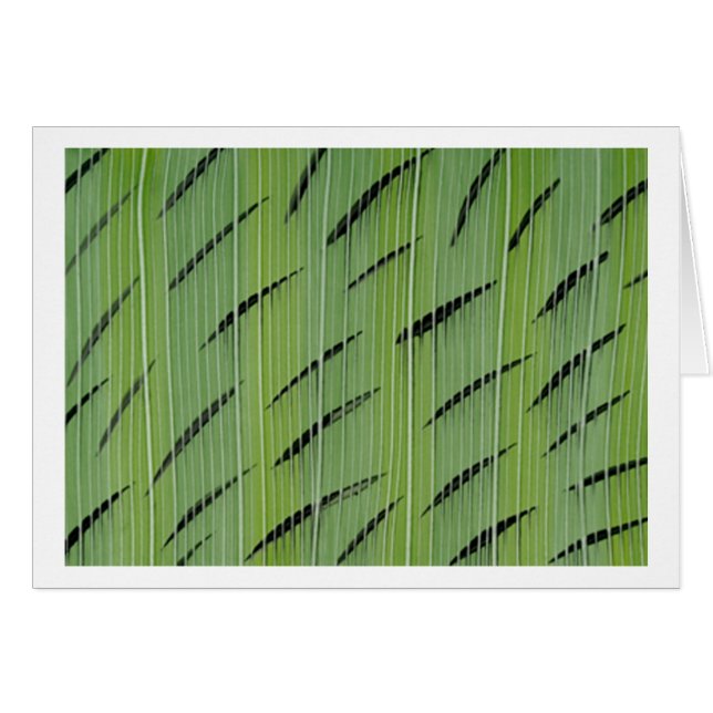 Verdes de bambú (Anverso (Horizontal))