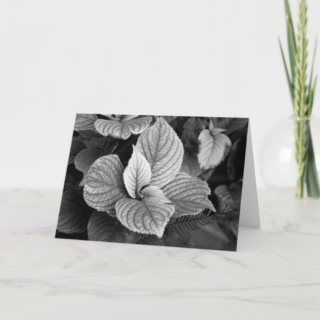 Verdes en tarjeta B/W (Anverso)