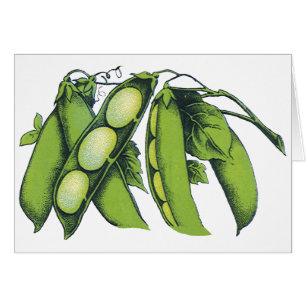 Verduras Antiguas; Judías Lima, Alimentos de Granj