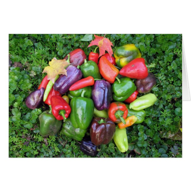 Verduras coloridas y hojas de arce (Anverso (Horizontal))