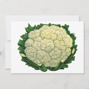 Verduras de comida vintage Col rizada