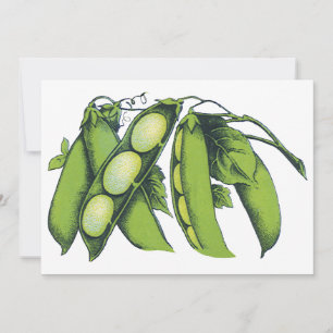 Verduras de cosecha; alubias de Lima, alimentos de