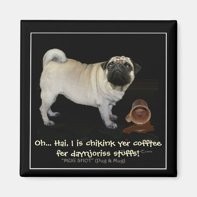 "Verificando tu café..." divertidos imanes (Frente)