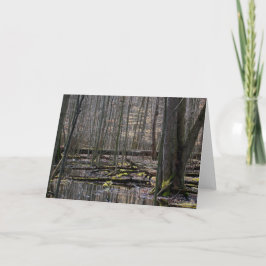 Vernal Pools 7 x 5 Tarjeta de felicitación plegada