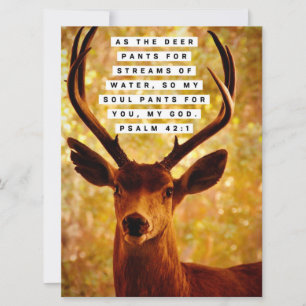 Verso de la Biblia - Salmo 42:1