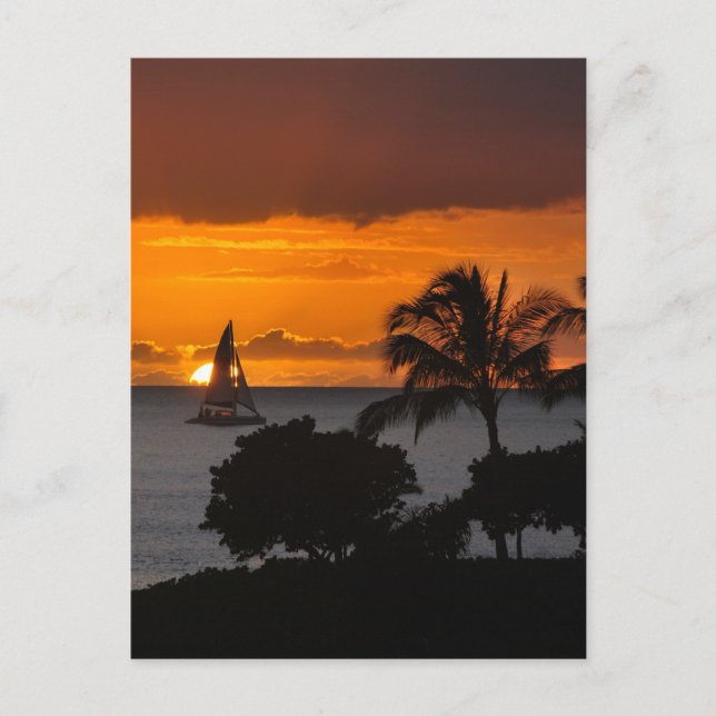 Vertical postal - Sunset hawaiano (Anverso)