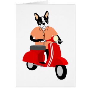 Vespa de Boston Terrier