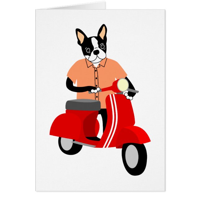 Vespa de Boston Terrier (Frente)