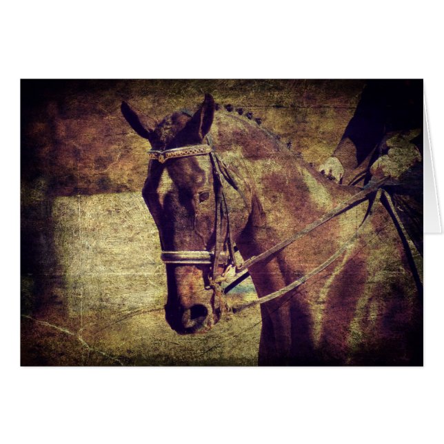 Vestido (Anverso (Horizontal))