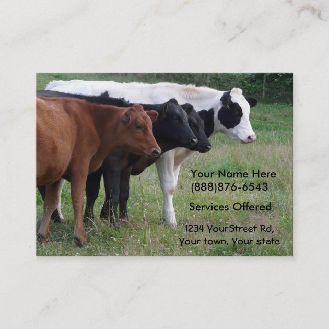 Veterinario de los ganados vacunos o tarjeta de (Anverso)