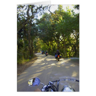 Viajando a Snook Haven