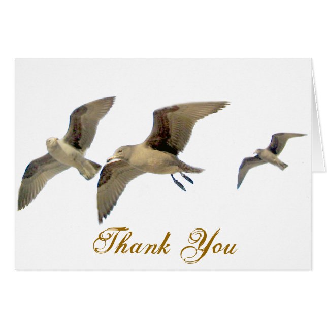 Viajar seguro_ (Anverso (Horizontal))