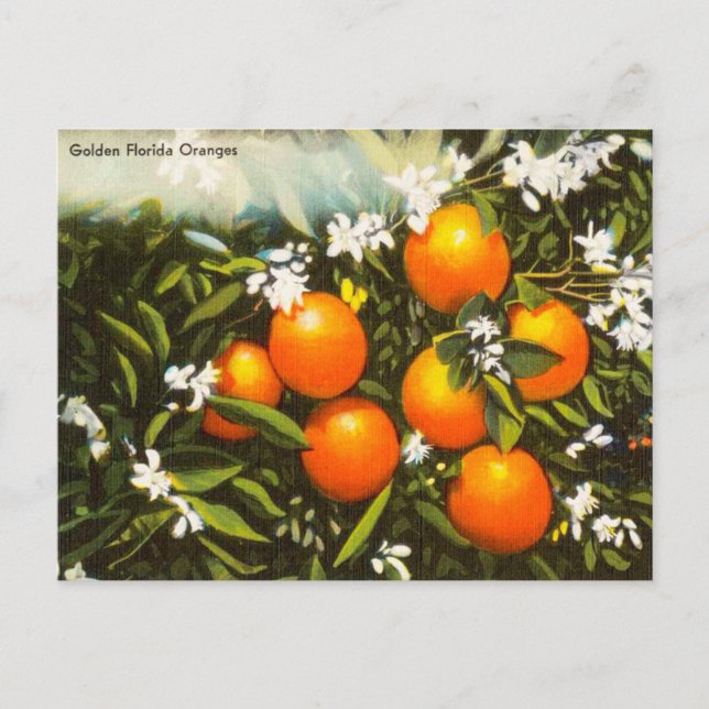 Viaje con tarjeta postal de viaje de Naranjas de l (Anverso)