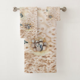 Viaje de tortugas marinas