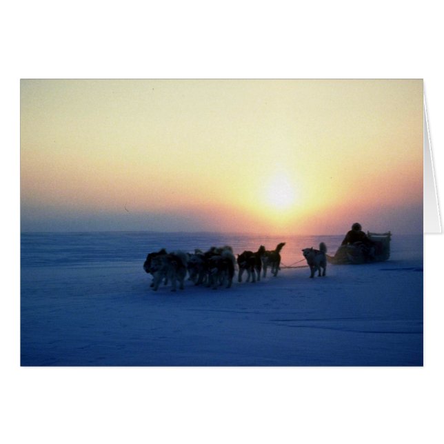 Viaje en trineo a 45 grados Celsius, Isla Baffin (Anverso (Horizontal))