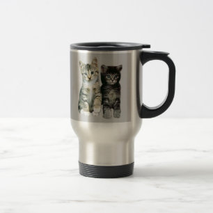 Viaje Los gatitos alrededor aquí de gatos son taza