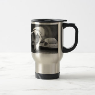 Viaje Taza del perro y del conejillo de Indias