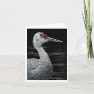 "Viajero antiguo" - Tarjeta Sandhill Crane